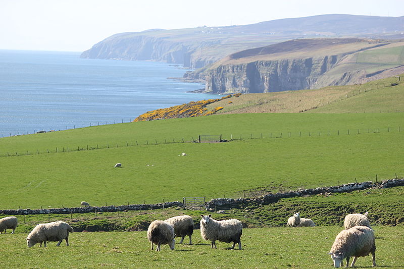 07. bis 15.August 2023&nbsp;Schottland